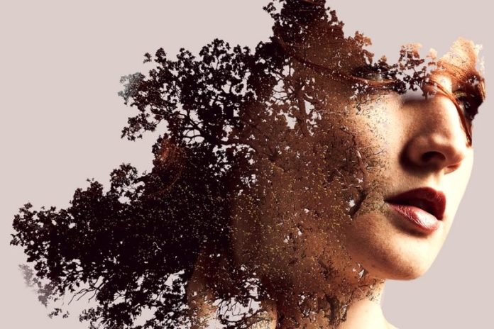 5 best photo editing software in hindi www.techactive.in